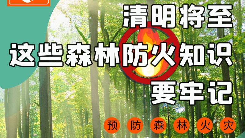 【甘快看】圖解|緊繃“安全弦”！清明，這些森林防火知識(shí)要牢記