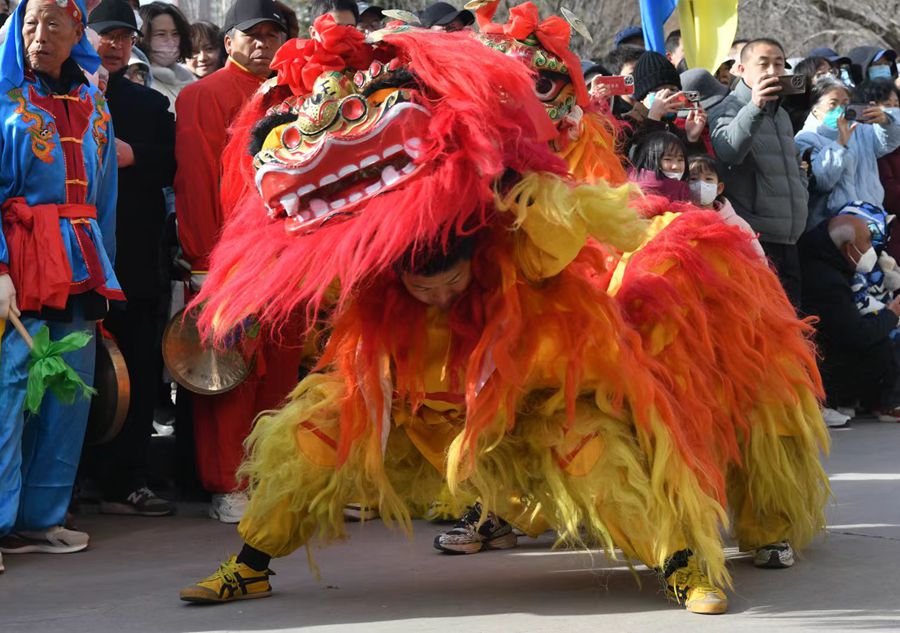 蘭州北獅表演現(xiàn)場。受訪者供圖