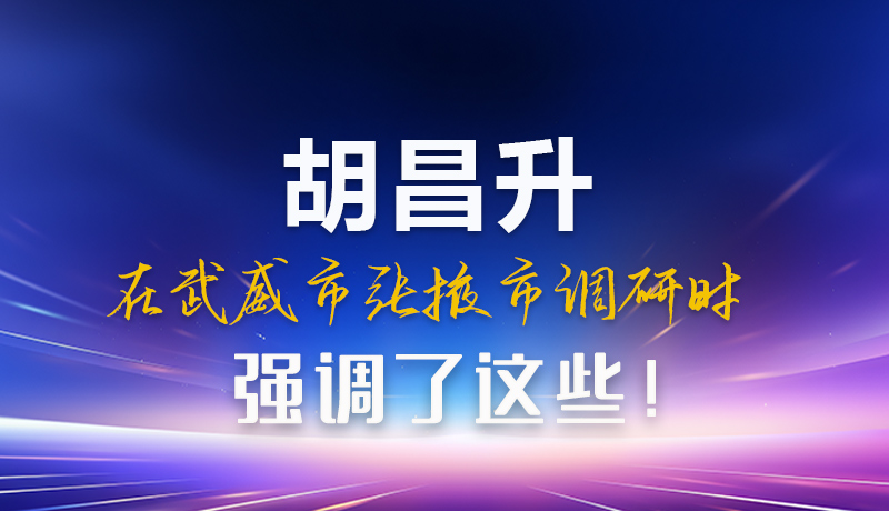 圖解|胡昌升在武威市張掖市調(diào)研時強調(diào)這些！