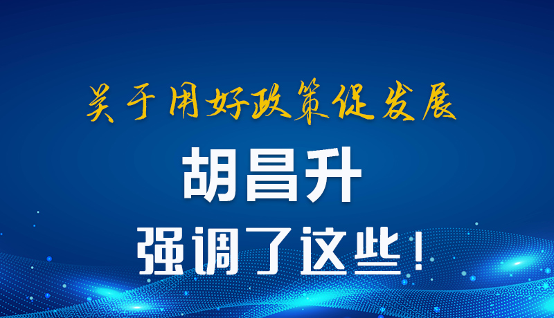 圖解|關于用好政策促發(fā)展 胡昌升強調(diào)了這些！