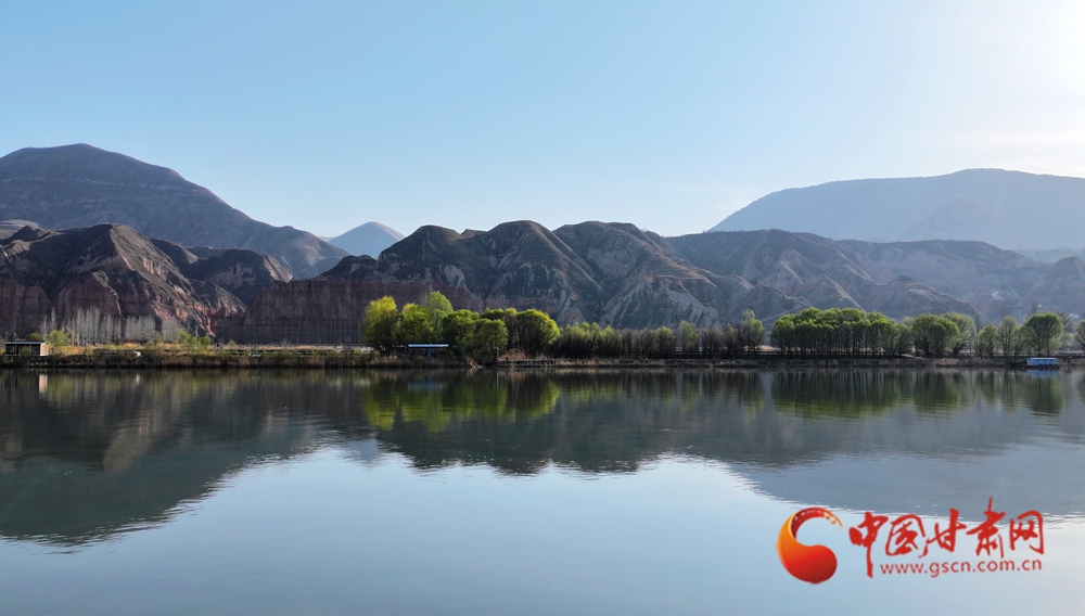 春動(dòng)隴原丨永靖：風(fēng)自黃河來(lái) 吹醒岸上花