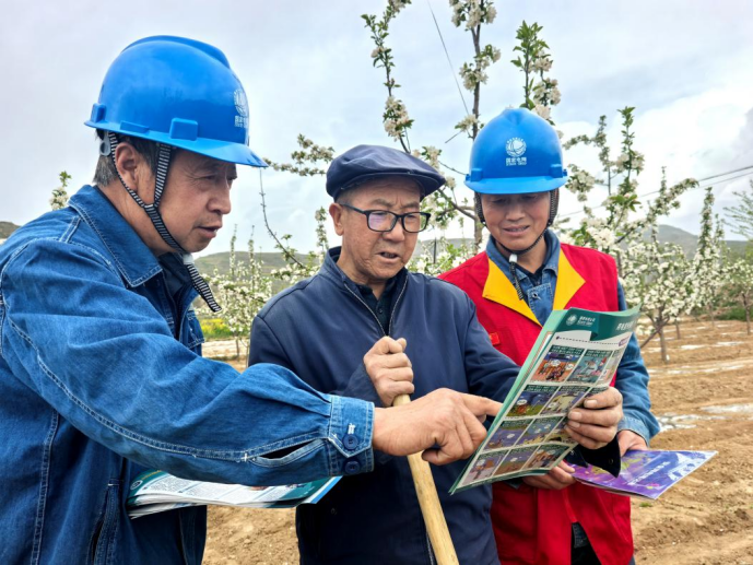 國網(wǎng)禮縣供電公司：蘋果花開油菜香 電力護航春耕忙