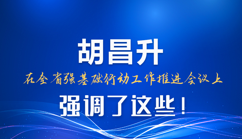 圖解|胡昌升在全省強基礎(chǔ)行動工作推進會議上強調(diào)了這些！