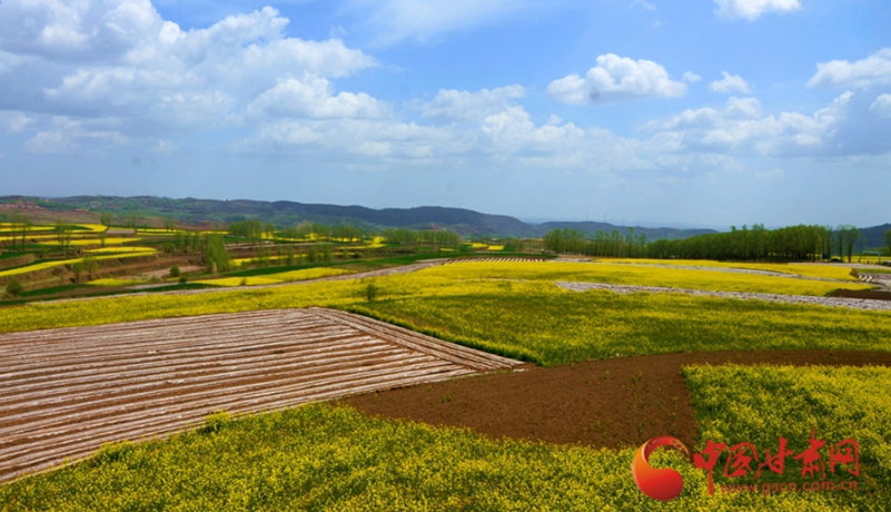 春動隴原丨華亭：汭河柳線牽桃影 山鄉(xiāng)田園織錦繡